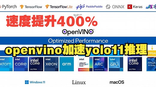 【端侧AI】YOLO11推理速度飙升400%！OpenVINO INT8 量化与预处理加速全攻略（附源码）