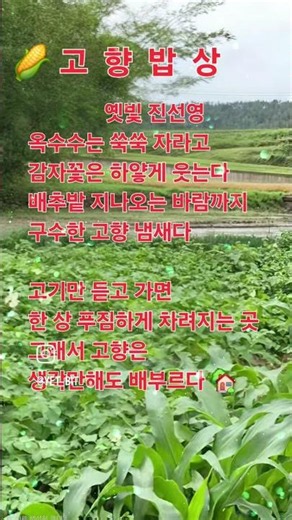 Healing[451]글툰 푸짐한고향밥상 #고향마을#시골풍경