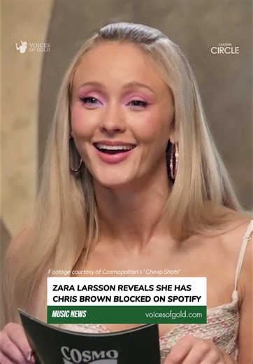 Zara Larsson Blocks Abusers on Spotify