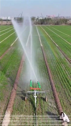 The process of using a sprinkler gun for farmland irrigation #automobile #bamboo1 #farming
