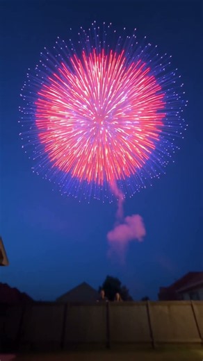 #snow 🎇 INSANE Backyard Terminator Firework Explosion! 🤯