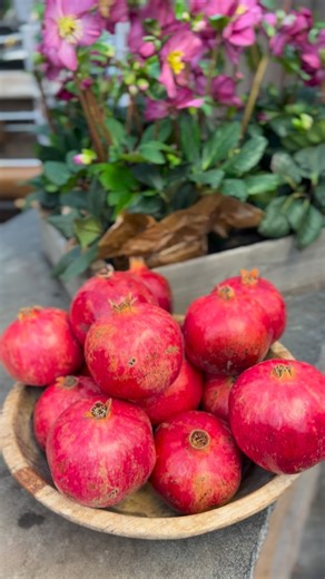 Lars-Johan Svanström on Instagram: "Julklappstips denna söndag GRABBAR! Glöm smycken, teater å konsertbiljetter! Spontan picknickkorg vid havet som en överrasknings present, eller dyra spaweekends! Dessa presenter börjar bli lite uttjatat nu, efter att ni i flera år överöst henne med dessa till jul..🤷🏼‍♂️ Du MÅSTE förnya dig! I år är det ett Granatäpple-träd som gäller i julklapp!😍 Tro mig killar…, en kvinna som följer ett trädgårdsmästarkonto, älskar att spontant få bli överraskad med någon 