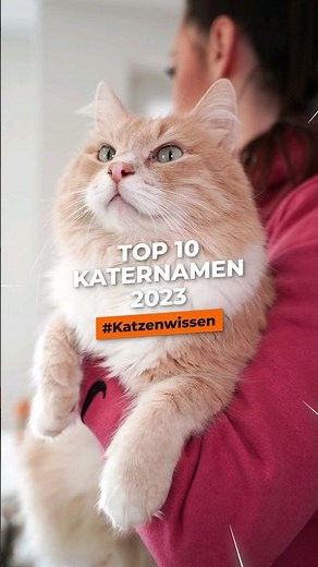 Top 10 male cat names #shorts #cat #catknowledge #pets #catlife #catlove