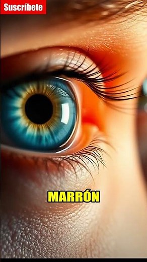 Ojos Azules o Marrones? 🤔
