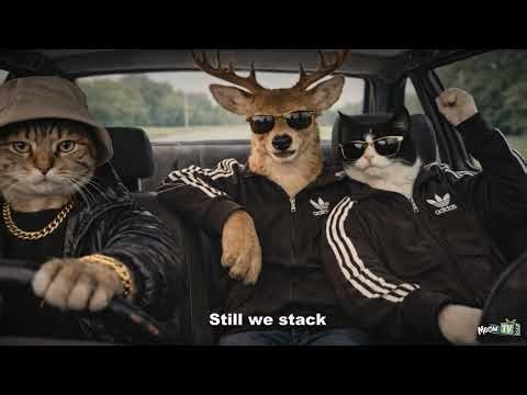 Qarmageddon - Wrong Set, Right Fit