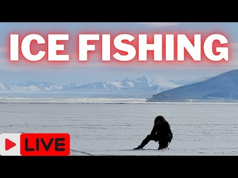 Life In Siberian Russia 🇷🇺 ICE Fishing