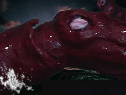 The BEAST [1996] - Official Teaser