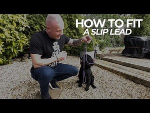 How to Fit a Slip Lead | the Dog Therapist