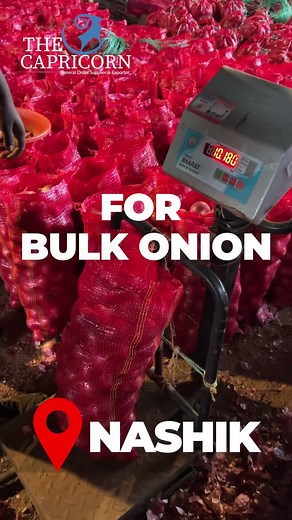 World-Class Onion Export – Quality That Meets Global Standards #ExportGradeOnions #FoodExport