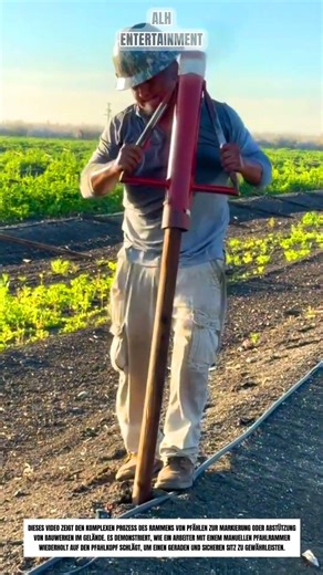 Rammen von Pfählen mit einem manuellen Pfahlrammer