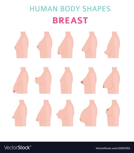 breast forms dd