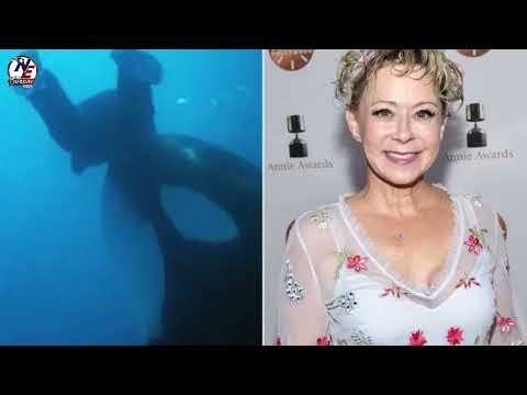 Free Willy Stunt Double Recalls Working with Orca: Why She’d Never Take the Job Toda