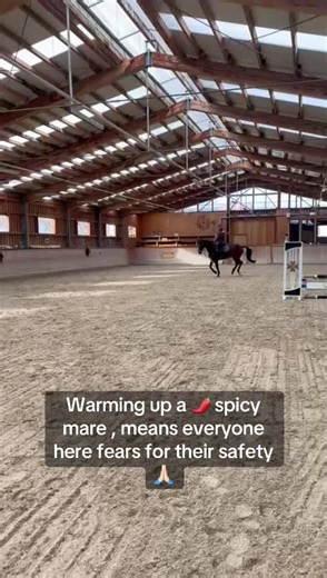 Show Jumping Preparation with a Spicy Mare