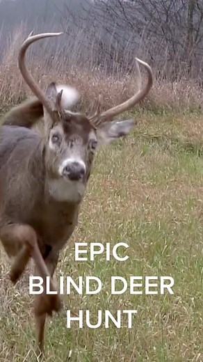 Blind Deer Hunting Adventure in the Wilderness