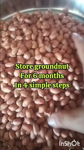 Store Groundnuts for 6 months 😃 #groundnut #food