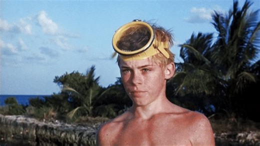 'Flipper, come back!'#BOTD #LukeHalpin FLIPPER (1963)🐬