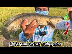 💢INSANE Country Snakehead Strikes on Tiny Rubber Frog 🐸 - Fishing With Budget Best Setup💯
