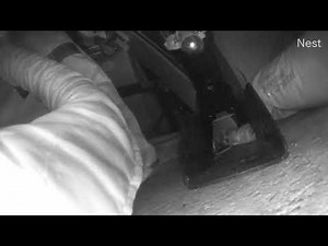 Goodnature A24 Rat & Mouse Trap - Quick and Humane Device