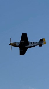 Whistling Mustang! P-51D Mustang ‘Cincinnati Miss’ Cruising into the show box at Warbirds Over Monroe. This Mustang belongs to the Tri State Warbird Museum, I had last seen it fly in 2012 so it was great to see it again in 2025. #P51 #mustang #warbird #WWII #aviationdaily | Ryan Tykosh Photography