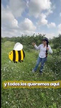 Indicator plants! #plants #citrus #citrusfarming #agriculture #flowering #pollinators #flowers