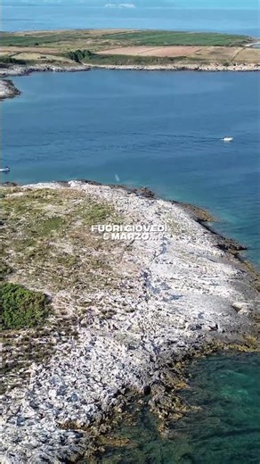 Macedonia di Fisa 🎵 Fisarmonica Italiana Top Liscio | Folk Romagnolo Balera #fisarmonica #liscio