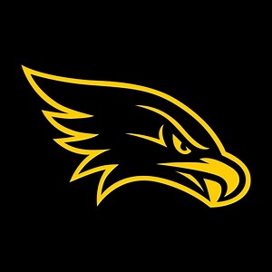 Hinton Girls Basketball • Video