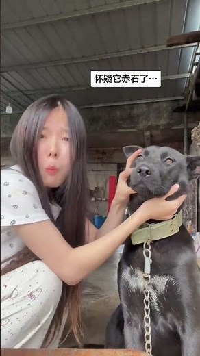 Is Your Village Dog Really Naked? A Must-Watch Reveal