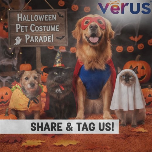 🎃👻 Get ready to howl with laughter! Halloween is just around the corner, and we want to see your furry friends in their spooktacular best! 🐾 Dress up your dog or cat in their most creative, adorable, or hilarious costume, and share a pic with us! Don't forget to TAG VēRUS Pet Foods and use #Veruspetfoodshalloween for a chance to be featured on our page! Let the costume parade begin! We can't wait to see your ghoulishly good pets! 🧡 | VeRUS Pet Foods