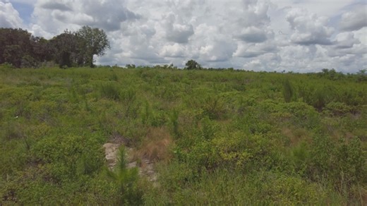 Neighbors continue to fight proposed private golf course in Hernando County