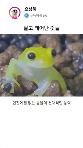 달고 태어난것들