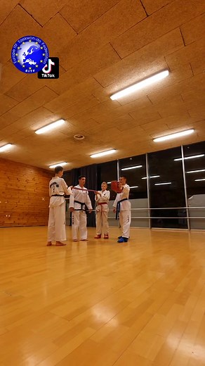 Send us videos of your training 💪🏻🥋 Become an EITF TikTok Creator 🎥 #taekwondo #itf #itftaekwondo #eitf #eitftiktok #martialarts #sidekick #kick #sport #jump