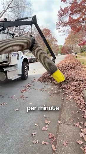 Leaf removal done right with this genius vacuum truck #cleaning #satisfying