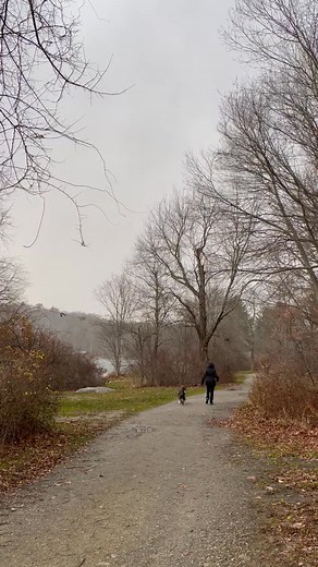 Visit Litchfield CT on Reels