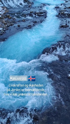 LIVSKRAFTEN OG SKØNHEDEN PÅ JORDEN er overvældende, hvis ikke vi konstant prøver at tæmme den. Hvis vi begynder at frisætte vores egen livskraft, så er der håb for Jorden, for da vil vi aldrig tro at tæmning og kontrol er livets vej. Vi vil vide, at frihed og skønhed blomstrer i vildhedens verden. #frihed #livskraft #skønhed #mod #vildhed | Søren Hauge