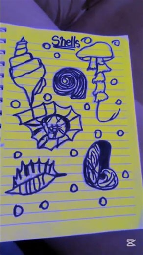 drawing shells 💗💖 #shells #drawings