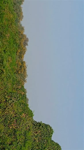 new viral sony@SSP_V