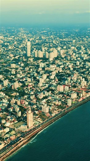 Cute playful ukulele for baby animations and learning videos #babyvideo #backgroundmusic