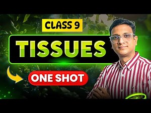 Tissues Class 9 Biology | Full Chapter Explained in Easy English | NCERT ‪@Gradebooster‬