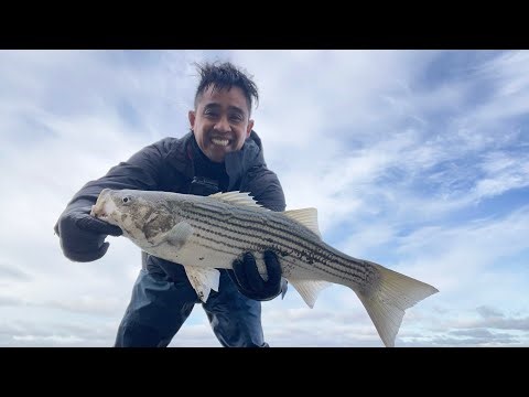 These Tricks Are an Absolute Game Changer for Striped Bass.