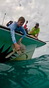 Janice’s Sea Turtle Release in Key Largo, Florida! 🌊🐢 Thank you to our team, Horizon Divers: Scuba Diving, Key Largo, FL , and everyone who helped us rescue, rehab, and release this precious turtle! ❤️ Janice, a juvenile Green sea turtle arrived at The Turtle Hospital on July 27, 2024. She came in lethargic, which we later diagnosed as being a symptom of a biotoxin in her system. So over the past couple of months, our team provided Janice with lots of supportive care to help flush that biotoxi