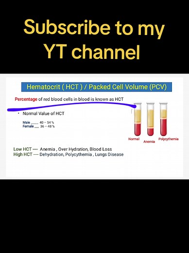 CBC & Hematocrit (HCT) Test Explained