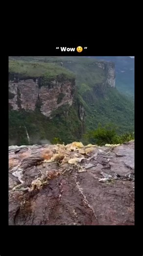 explain.world on Instagram: "This stunning clip captures a breathtaking waterfall plunging into a deep canyon surrounded by lush green cliffs and mist-filled air. Shaped over millions of years by erosion, rainfall, and shifting rock formations, landscapes like this showcase the raw power of nature at work. During the rainy season, water flow intensifies, often creating multiple cascading streams that spill down the canyon walls, transforming the entire valley into a dramatic natural spectacle. H