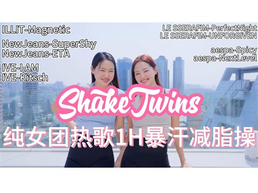 【Shake Twins】1h减脂操 | Kpop纯女团热歌暴汗减脂操（全程站立）