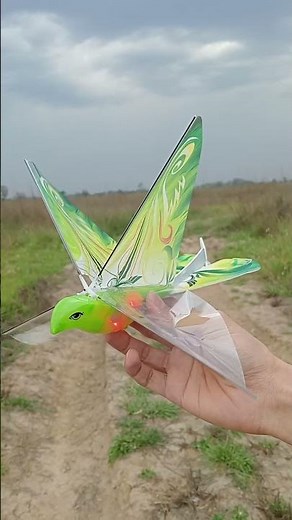 Ornithopter rc flying bird