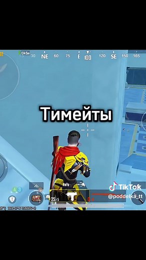 Poddelka на TikTok