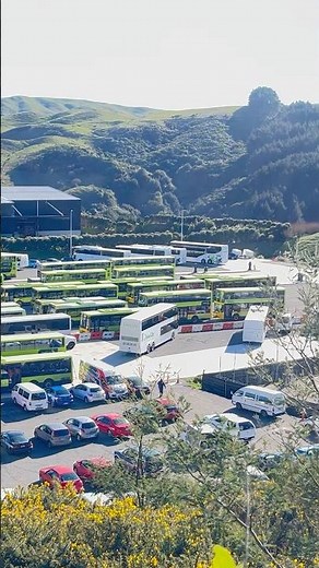 New Zealand Public Transport,Bus Metlink #newzealand #publictransport #bus #service #wellington