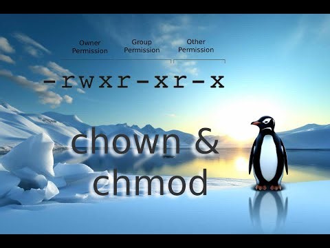 Mastering File Permissions & Ownership in Linux | chmod & chown Explained