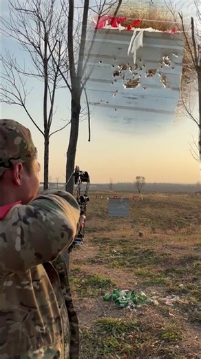 AR16 Compound Bow Demo Shockingly Stable 40-RoundBurst#fypシ #lifestyle #sports #outdoors #tools #fpv