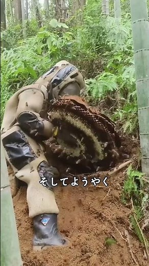 Remove a giant hornet's nest all by yourself?