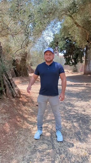 Beneficios de las hojas de olivo 🍃